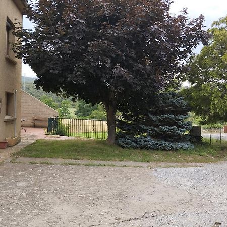 Maison Du Verdouble Rouffiac-des-Corbières Extérieur photo